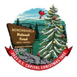 WV Christmas Tree contest image
