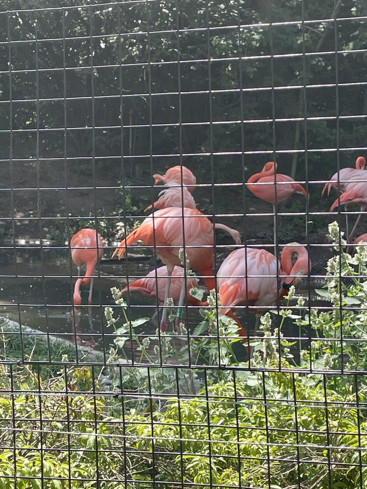 Students Visits Columbus Zoo